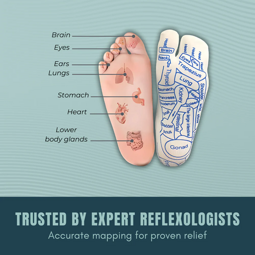 Foot Acupressure Therapy Set（Buy now and get two foot massage sticks FREE.）