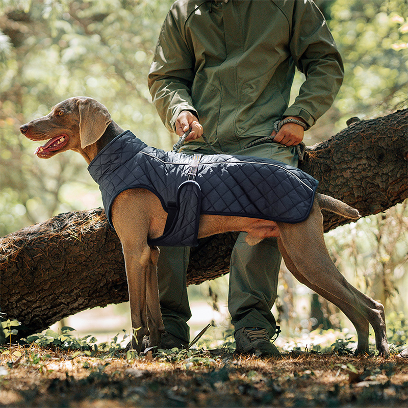 Cozy Reflective Winter Dog Coat – Perfect Christmas Gift for Pets 🎁🐾Saldi natalizi 50% OFF 🎄