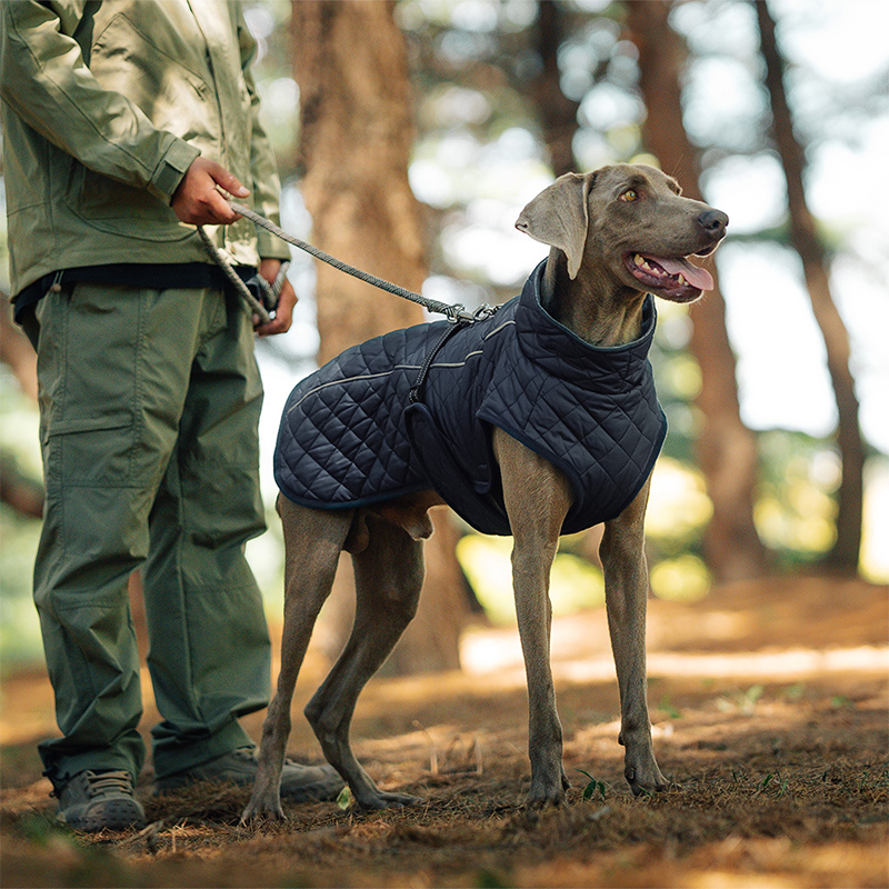 Cozy Reflective Winter Dog Coat – Perfect Christmas Gift for Pets 🎁🐾Saldi natalizi 50% OFF 🎄