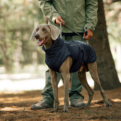 Cozy Reflective Winter Dog Coat – Perfect Christmas Gift for Pets 🎁🐾Saldi natalizi 50% OFF 🎄