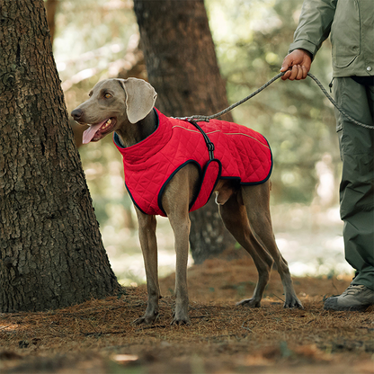 Cozy Reflective Winter Dog Coat – Perfect Christmas Gift for Pets 🎁🐾Saldi natalizi 50% OFF 🎄