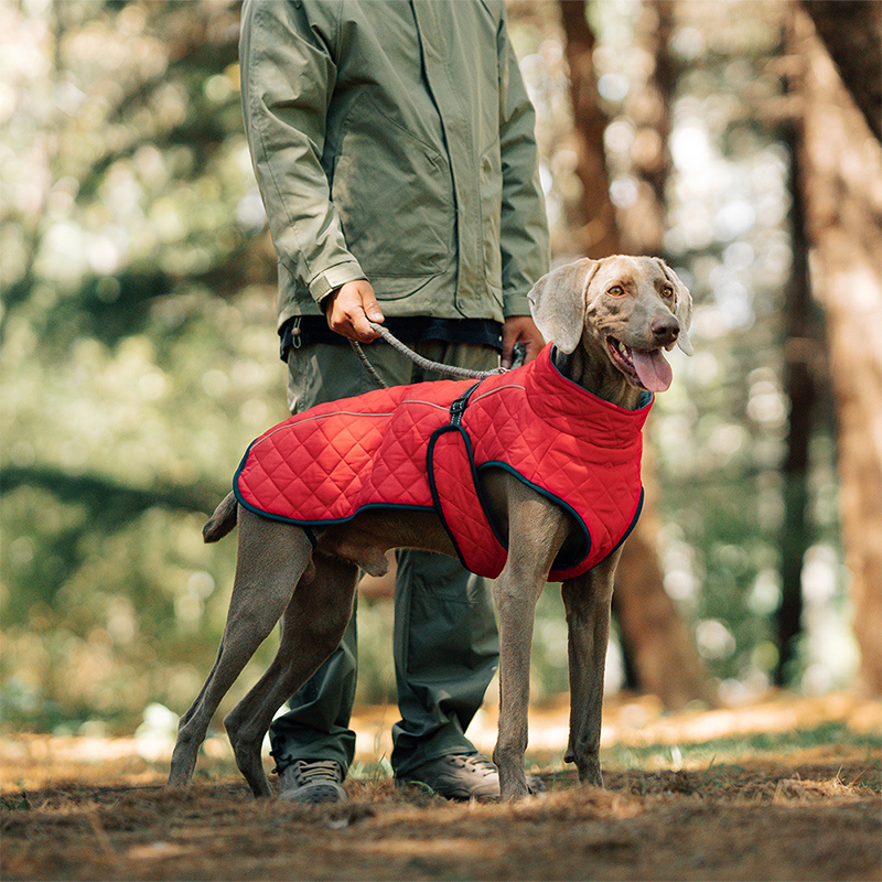 Cozy Reflective Winter Dog Coat – Perfect Christmas Gift for Pets 🎁🐾Saldi natalizi 50% OFF 🎄
