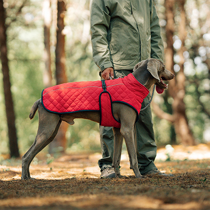 Cozy Reflective Winter Dog Coat – Perfect Christmas Gift for Pets 🎁🐾Saldi natalizi 50% OFF 🎄