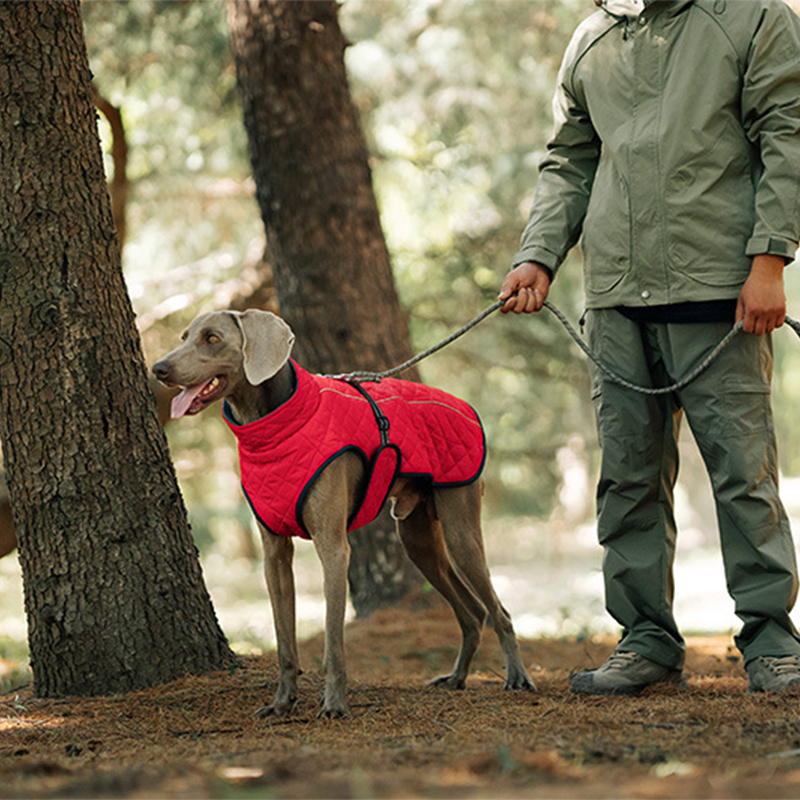 Cozy Reflective Winter Dog Coat – Perfect Christmas Gift for Pets 🎁🐾Saldi natalizi 50% OFF 🎄
