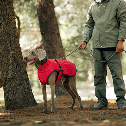 Cozy Reflective Winter Dog Coat – Perfect Christmas Gift for Pets 🎁🐾Saldi natalizi 50% OFF 🎄