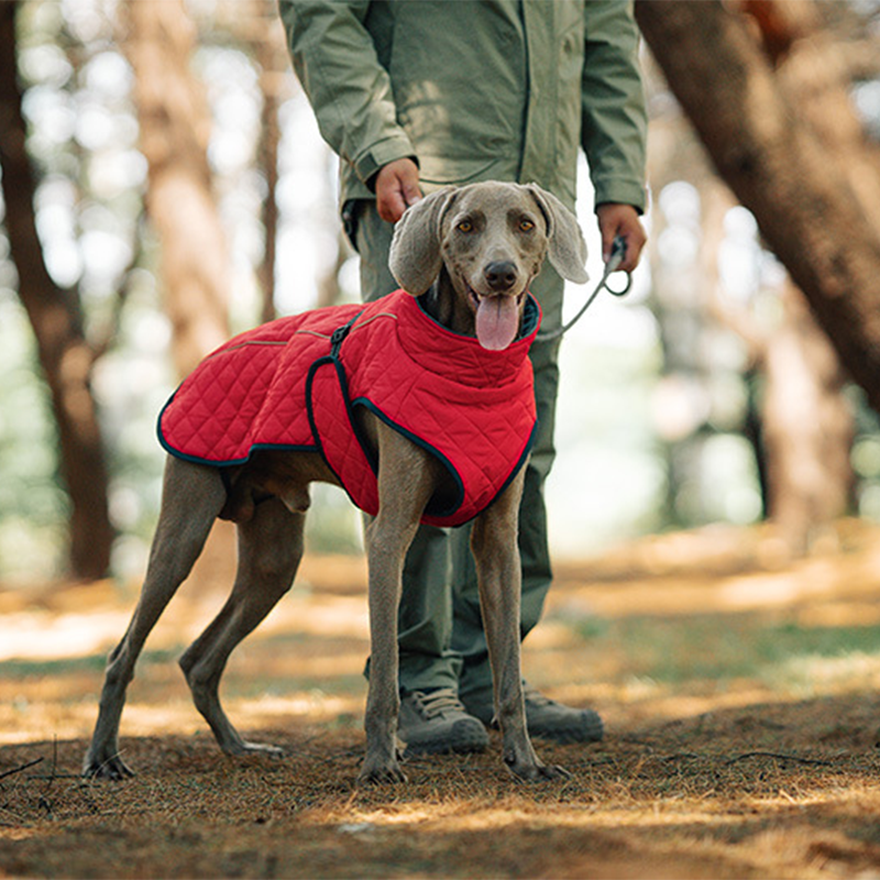 Cozy Reflective Winter Dog Coat – Perfect Christmas Gift for Pets 🎁🐾Saldi natalizi 50% OFF 🎄