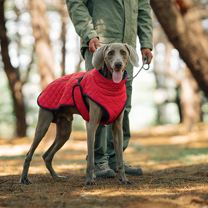 Cozy Reflective Winter Dog Coat – Perfect Christmas Gift for Pets 🎁🐾Saldi natalizi 50% OFF 🎄