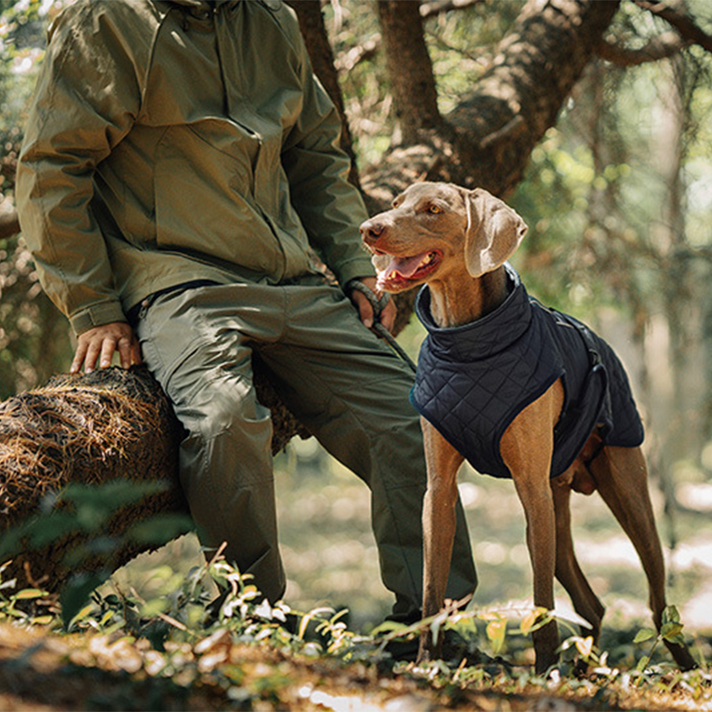 Cozy Reflective Winter Dog Coat – Perfect Christmas Gift for Pets 🎁🐾Saldi natalizi 50% OFF 🎄